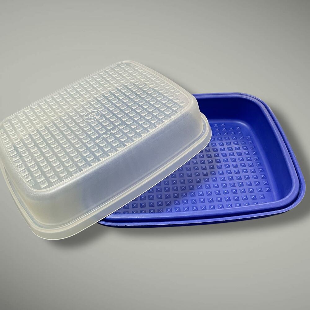 Tupperware Meat Marinade Container Large Dome Season Serve Stack 1294 1295 Blue